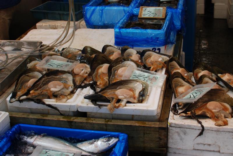 Shellfish at the Tsukiji Fish Market, Tokyo