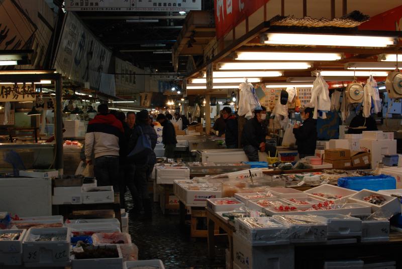 The intermediate market at Tsukiji Fish Market
