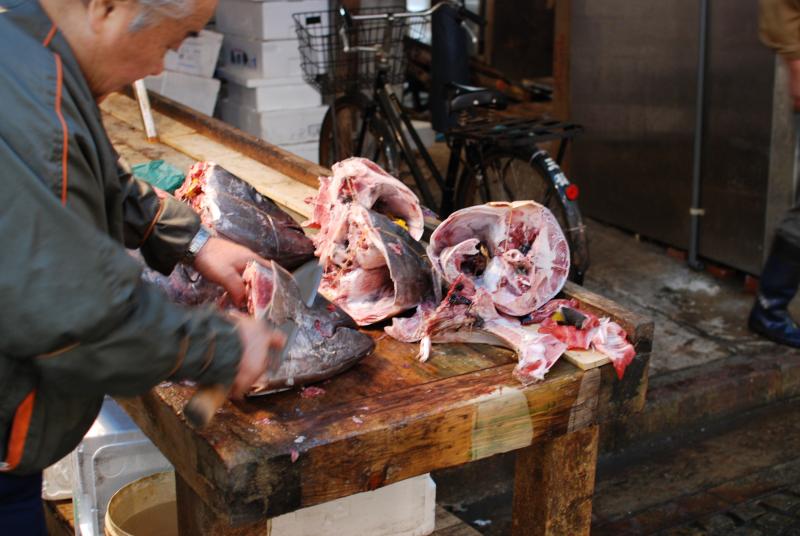 Tuna heads