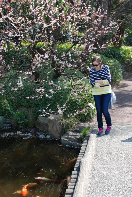 Katie checks out the koi