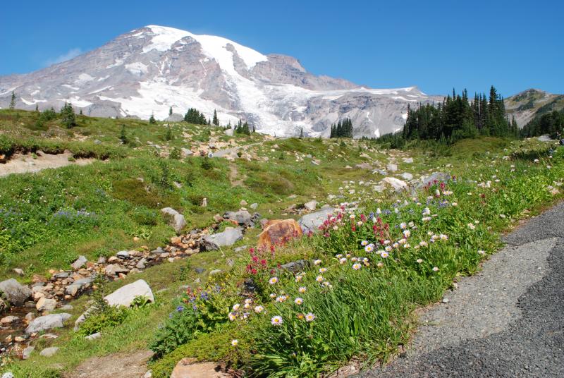 Flowers, stream, and mountain