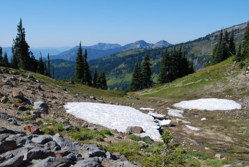 Snow patches on Mt. Rainier