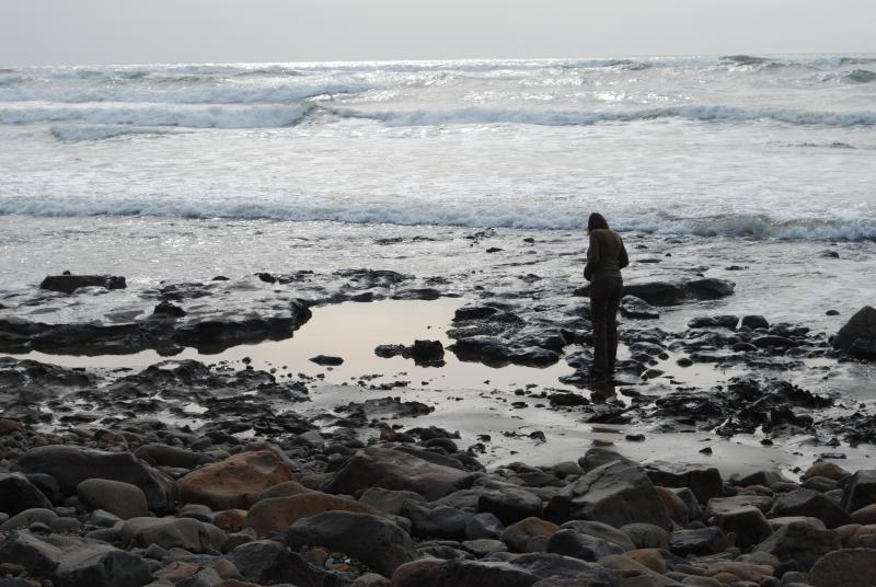 Checking out the tide pools