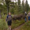 The Harper brothers find some firewood