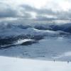 The Canadian Rockies, from Mt. Lookout