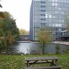 Pools are everywhere on campus