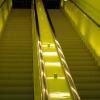 Escalators inside the library