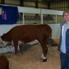 Jason is checking out a cow