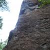 Katie is way up there