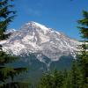 Mt. Rainier from Rampart Ridge