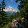 Taking in the view of Mt. Rainier