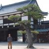 Jason and a big bonzai tree