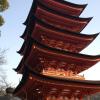 Pagoda on Miyajima