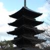 A huge 5-story pagoda at To-ji