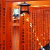 Gates and lantern