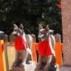 Fox statues at Inari