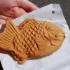 Taiyaki (custard filled fish-shaped waffle)