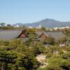 Overview of Nijo Castle grounds