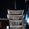 Pagoda lit up at night