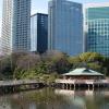 A view from Hama-rikyu gardens