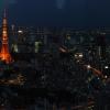Tokyo at night, view from Mori Tower