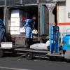 Unloading frozen tunas