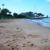 A catamaran comes ashore