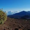 Shrub, cones, and clouds, Haleakala