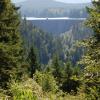 Alder dam on the Nisqually River