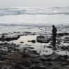Checking out the tide pools