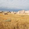 Grasslands and Badlands