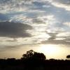 Sunset in Tarangire