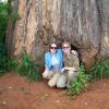 Katie and Jason coming out of a big baobab tree