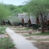 The tents at Tarangire Lodge