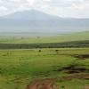 Large herd of wildebeest in Ngorongoro